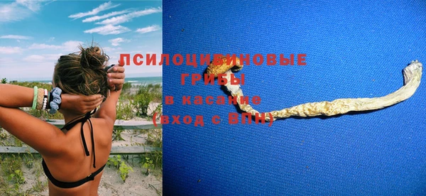стаф Володарск