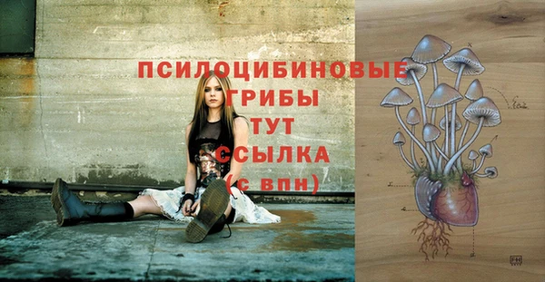 стаф Володарск