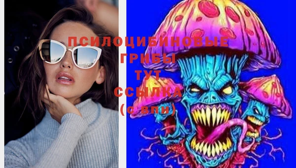 стаф Володарск