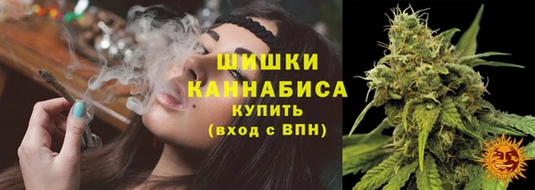 стаф Володарск