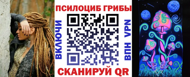 Купить где  Гаврилов-Ям  Псилоцибиновые грибы GOLDEN TEACHER 