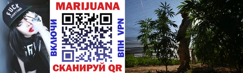 Шишки марихуана White Widow  Купить закладки  Гаврилов-Ям 